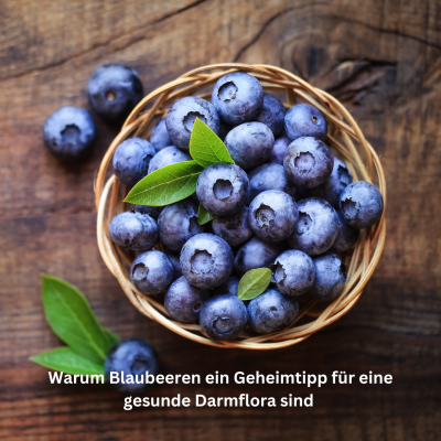 Warum Blaubeeren ein Geheimtipp für eine gesunde Darmflora sind  - Die gesundheitlichen Vorteile von Blaubeeren