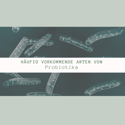 Häufig vorkommende Arten von Probiotika - Verbreitete Arten von Probiotika
