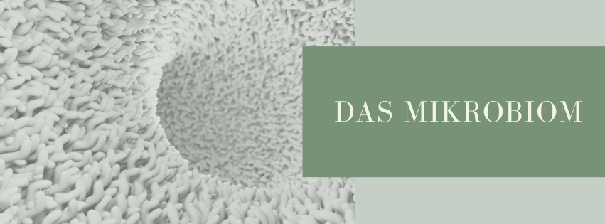 Das Mikrobiom - Was ist das Darm-Mikrobiom?
