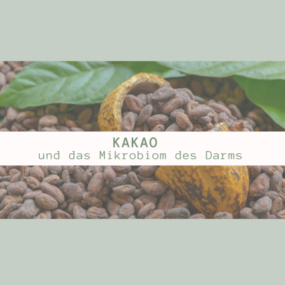 Kakao und das Mikrobiom des Darms: Eine wohltuende Verbindung   - Kakao – Ein wunderbar gesundes Lebensmittel für Ihr Wohlbefinden und eine gesunde Darmflora
