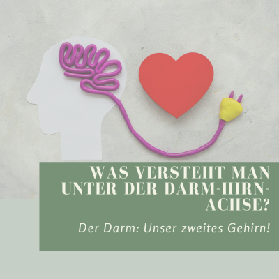 Was versteht man unter der Darm-Hirn-Achse? - Der Darm: Unser zweites Gehirn! 