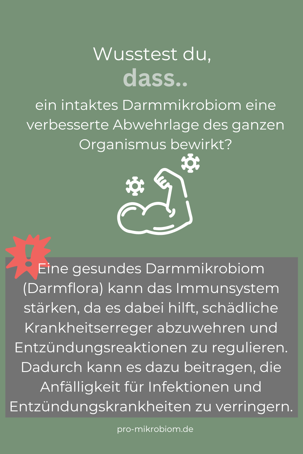 Immunsystem stärken